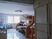 其它图